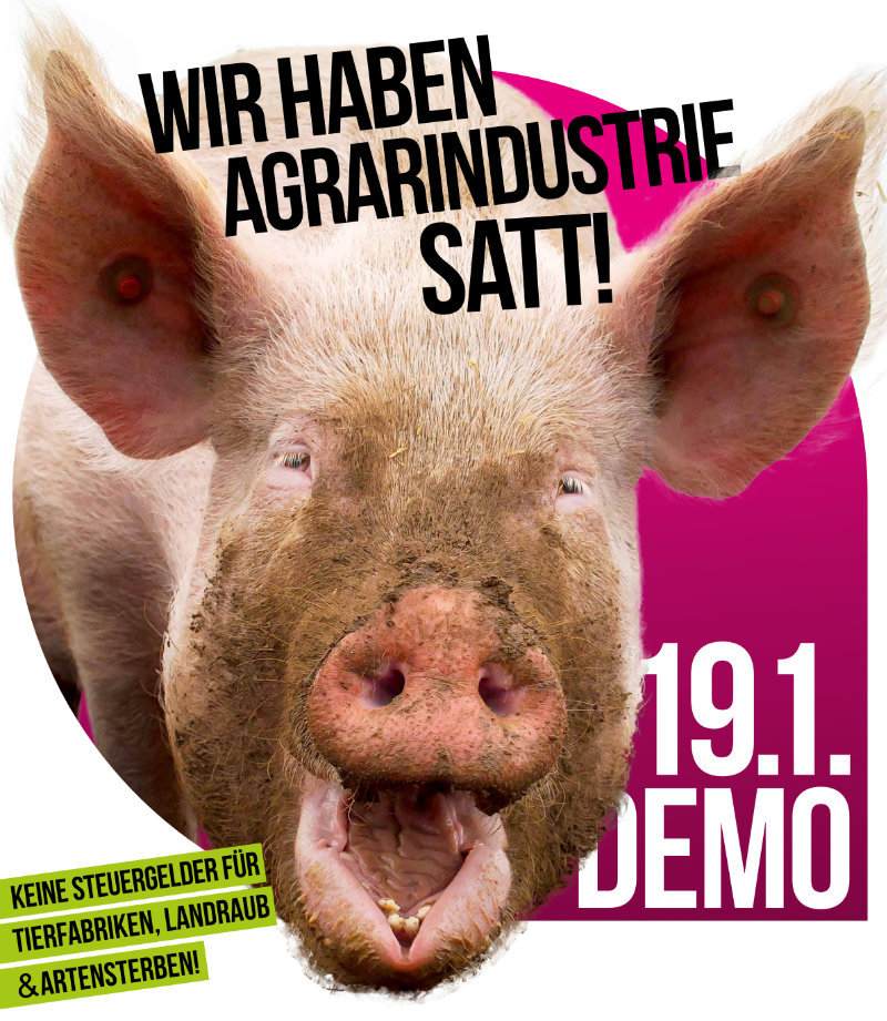 Wir haben es satt! Demo am 19.01.2019 in Berlin