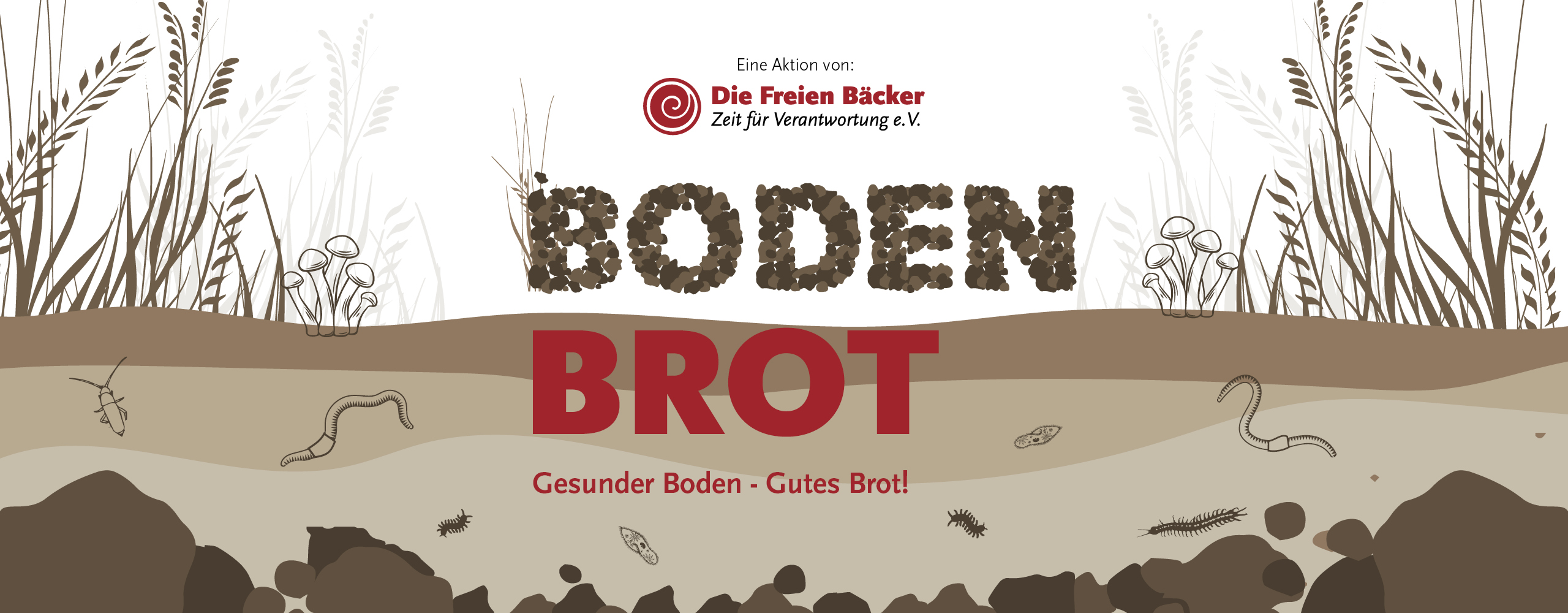 Gesunder Boden – gutes Brot